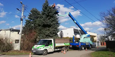 Ogrodowe Pogotowie Piotr Kobiela